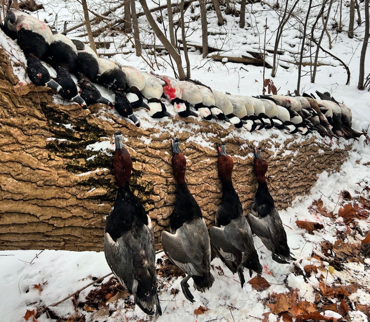 Waterfowl FLX Outfitters